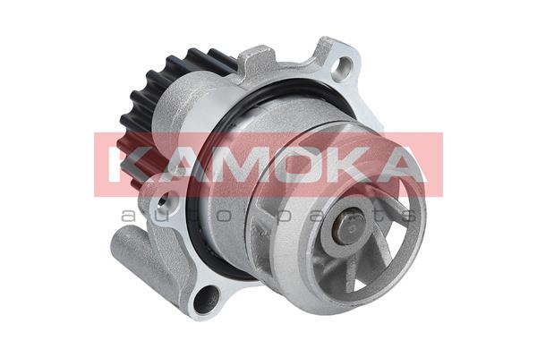 Pompa de apa KAMOKA T0025