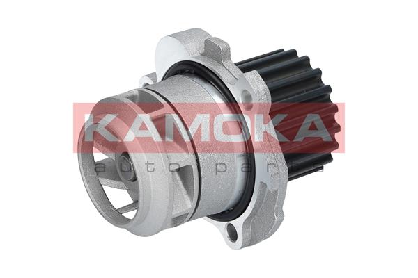 Pompa de apa KAMOKA T0025