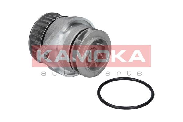 Pompa de apa KAMOKA T0026