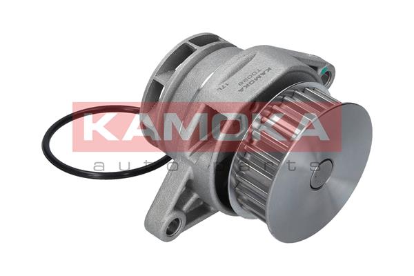 Pompa de apa KAMOKA T0026