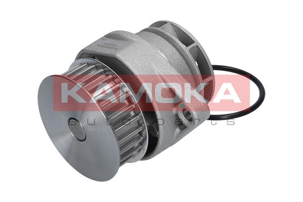 Pompa de apa KAMOKA T0026