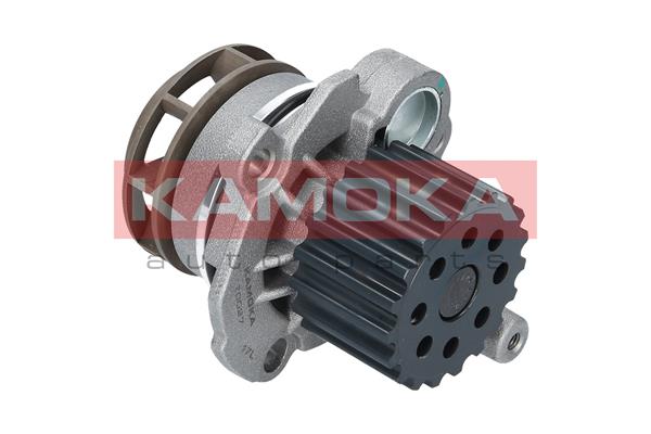 Pompa de apa KAMOKA T0027