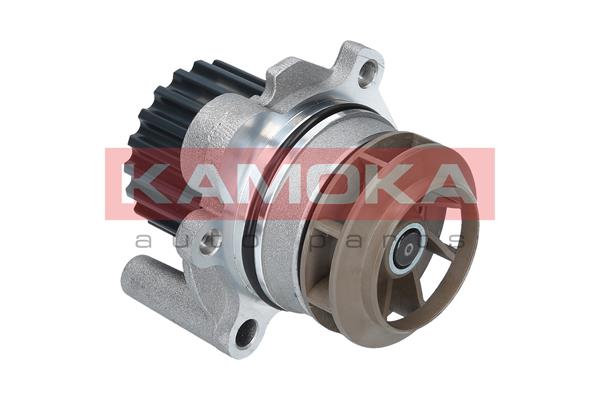 Pompa de apa KAMOKA T0027