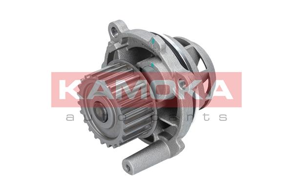 Pompa de apa KAMOKA T0028