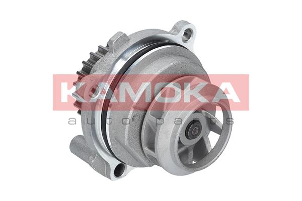 Pompa de apa KAMOKA T0028