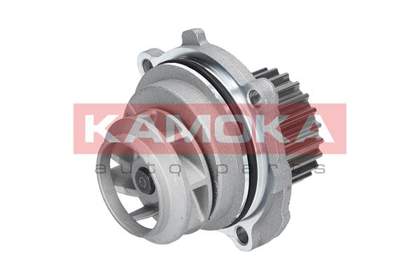 Pompa de apa KAMOKA T0028