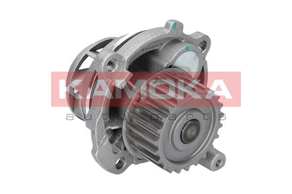 Pompa de apa KAMOKA T0028