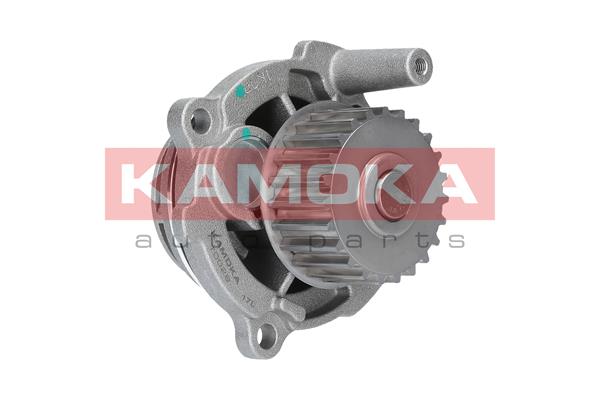 Pompa de apa KAMOKA T0029