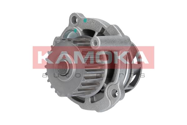 Pompa de apa KAMOKA T0029