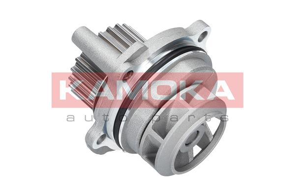 Pompa de apa KAMOKA T0029