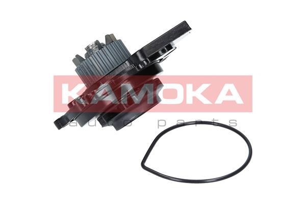 Pompa de apa KAMOKA T0031