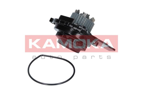 Pompa de apa KAMOKA T0031