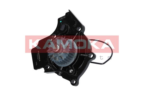 Pompa de apa KAMOKA T0031