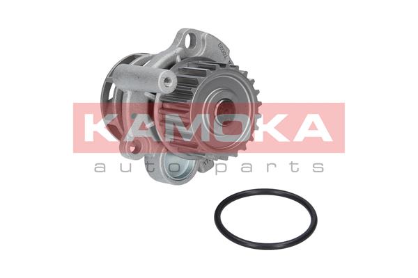 Pompa de apa KAMOKA T0033