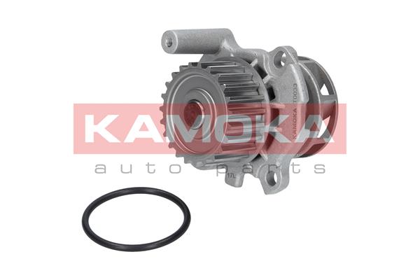 Pompa de apa KAMOKA T0033