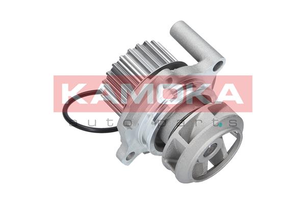 Pompa de apa KAMOKA T0033