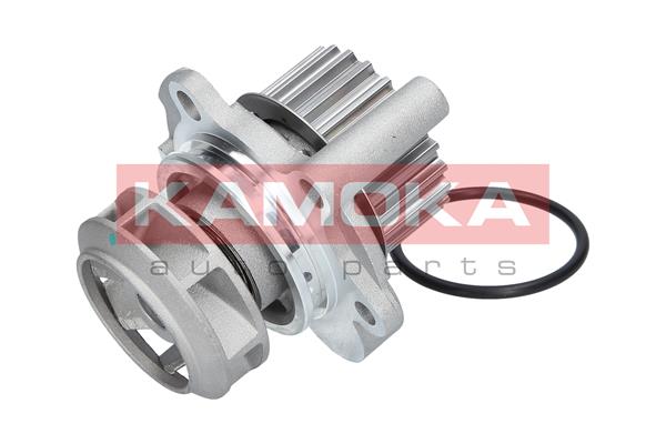 Pompa de apa KAMOKA T0033