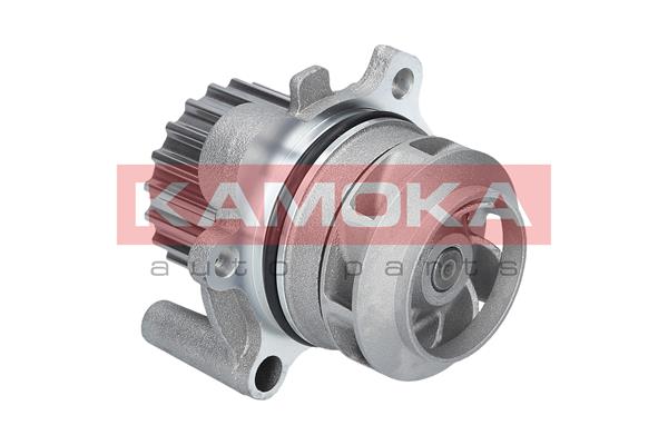 Pompa de apa KAMOKA T0034