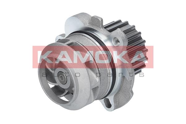 Pompa de apa KAMOKA T0034