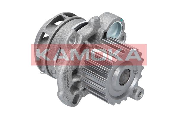 Pompa de apa KAMOKA T0034