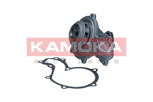 Pompa de apa KAMOKA T0037