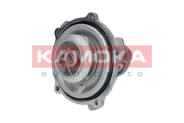 Pompa de apa KAMOKA T0038