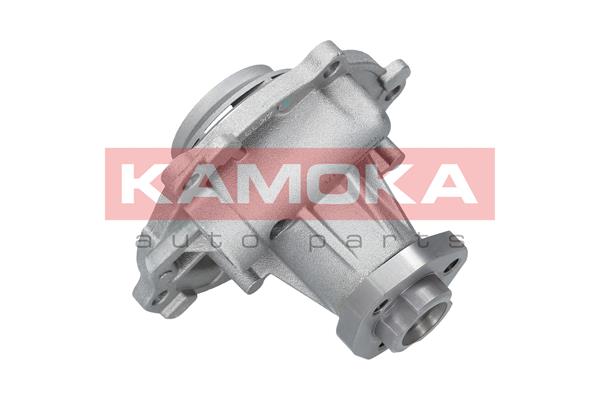 Pompa de apa KAMOKA T0038