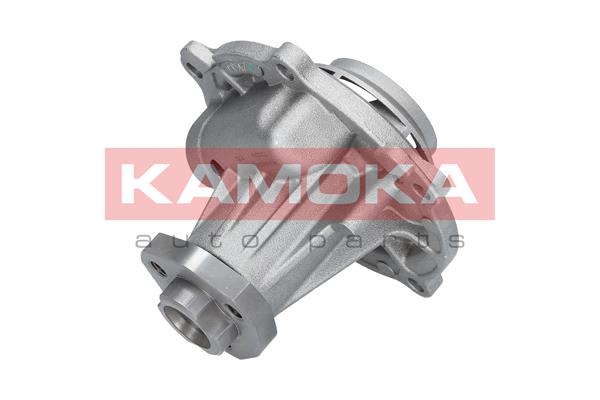 Pompa de apa KAMOKA T0038
