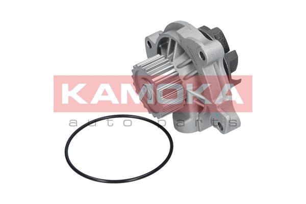 Pompa de apa KAMOKA T0042