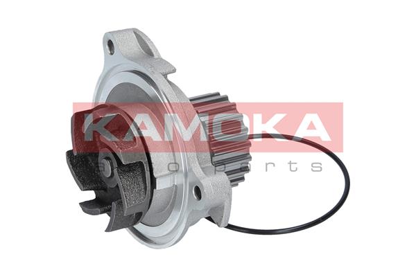 Pompa de apa KAMOKA T0042