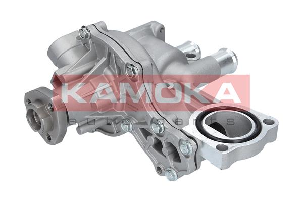 Pompa de apa KAMOKA T0043