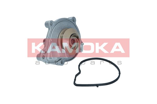 Pompa de apa KAMOKA T0050