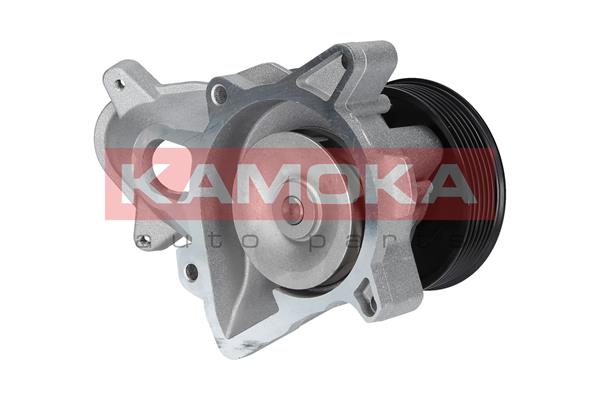 Pompa de apa KAMOKA T0052