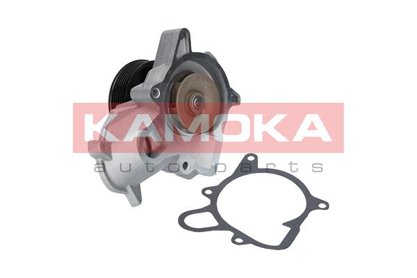 Pompa de apa KAMOKA T0053