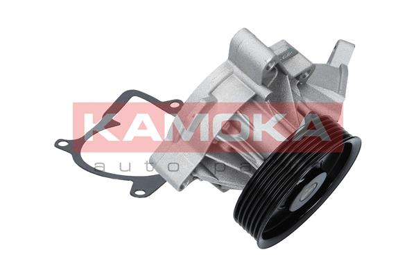 Pompa de apa KAMOKA T0053
