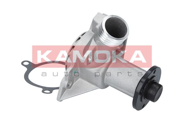 Pompa de apa KAMOKA T0054