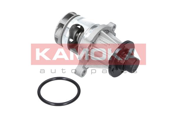 Pompa de apa KAMOKA T0056