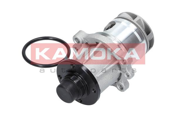 Pompa de apa KAMOKA T0056