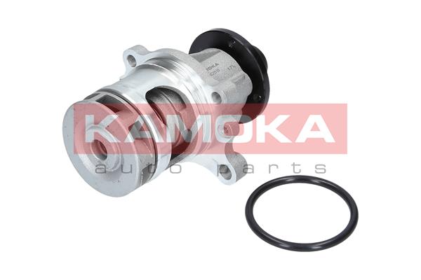 Pompa de apa KAMOKA T0056