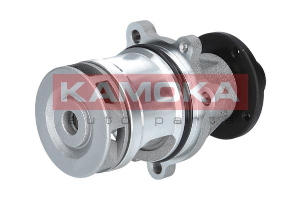 Pompa de apa KAMOKA T0057