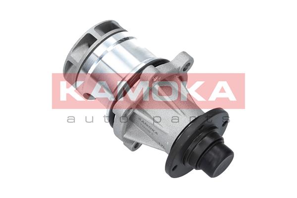 Pompa de apa KAMOKA T0057