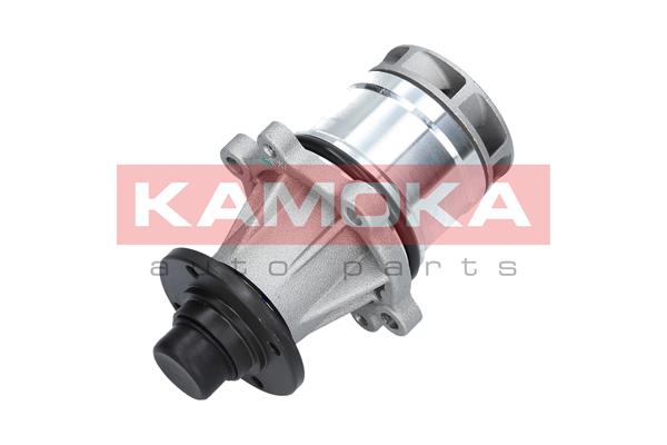 Pompa de apa KAMOKA T0057
