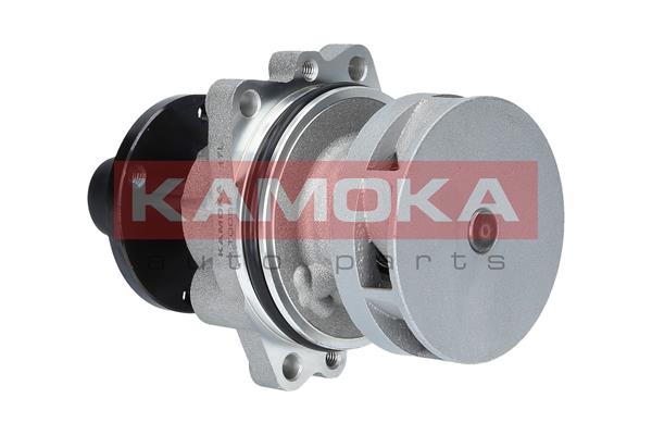 Pompa de apa KAMOKA T0058