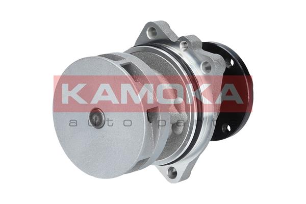 Pompa de apa KAMOKA T0058