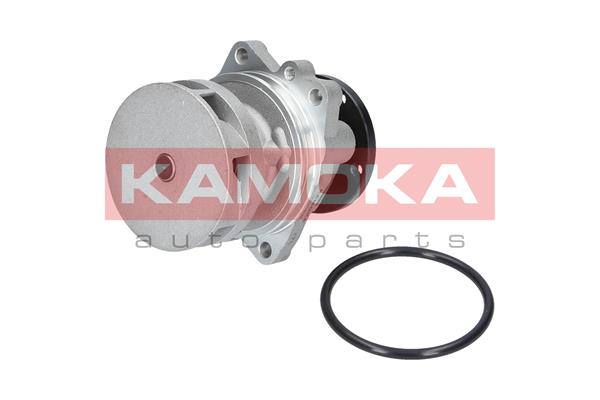 Pompa de apa KAMOKA T0059