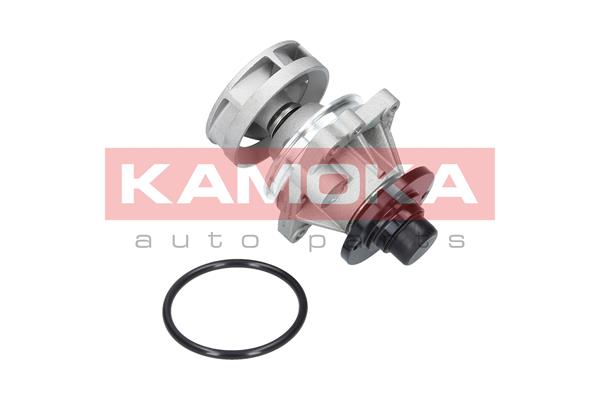 Pompa de apa KAMOKA T0059