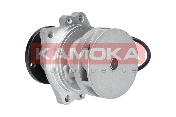Pompa de apa KAMOKA T0059