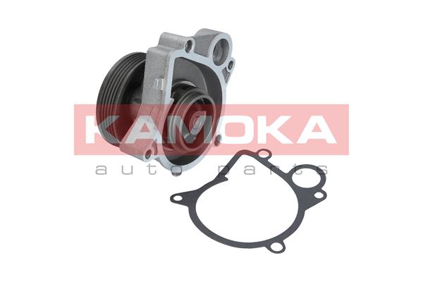 Pompa de apa KAMOKA T0061