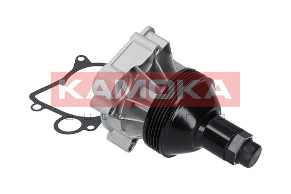 Pompa de apa KAMOKA T0062