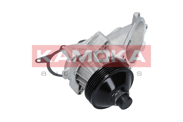Pompa de apa KAMOKA T0063